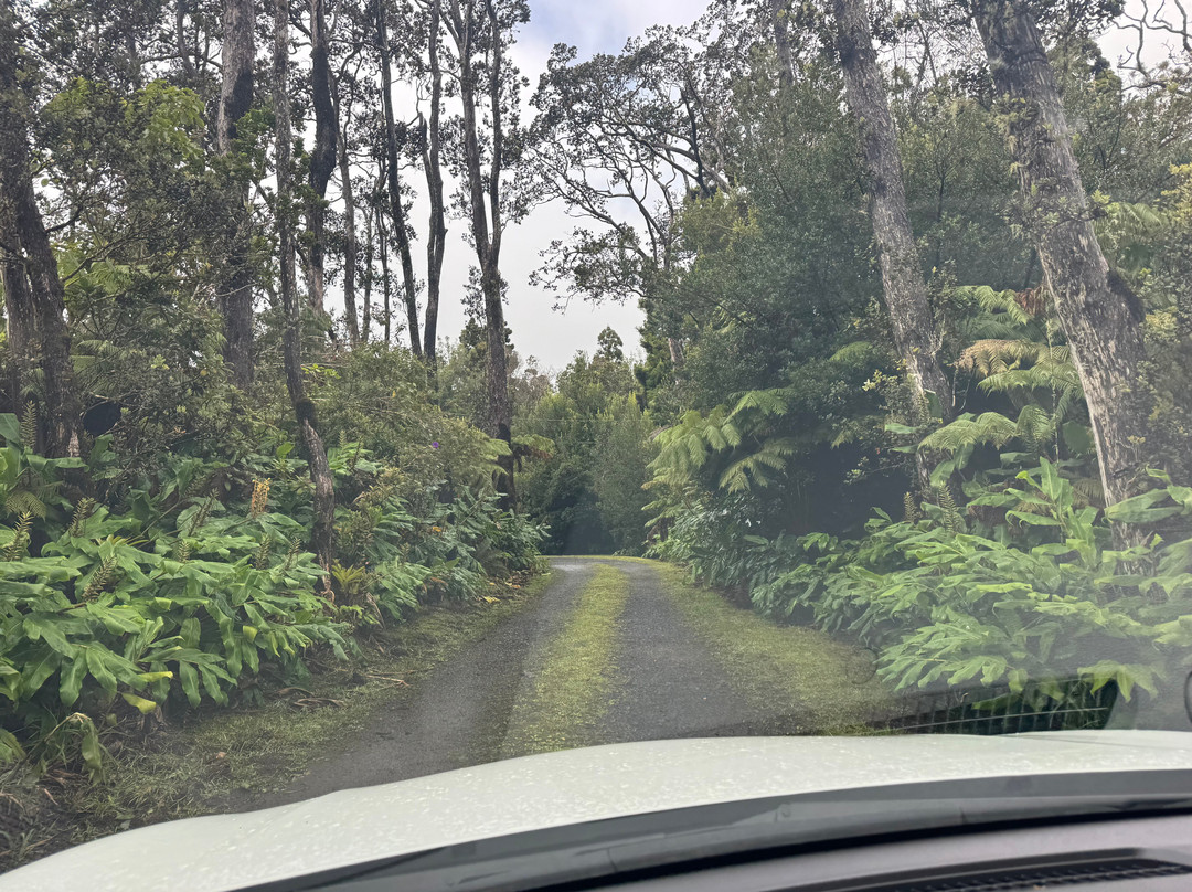 火山森林客栈主图