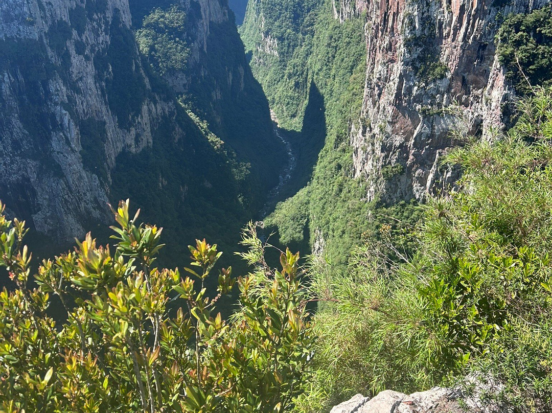 Aparados da Serra Tours-Cambará do Sul必去景点