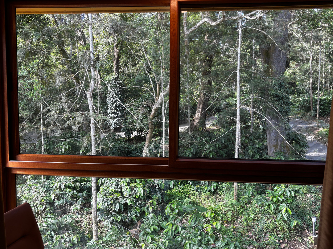 The Birchwood Retreat主图