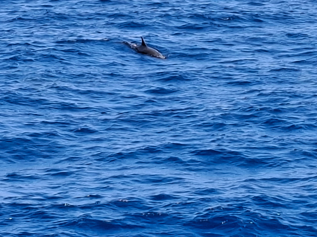 Daily tours egypt-赫尔格达必去景点