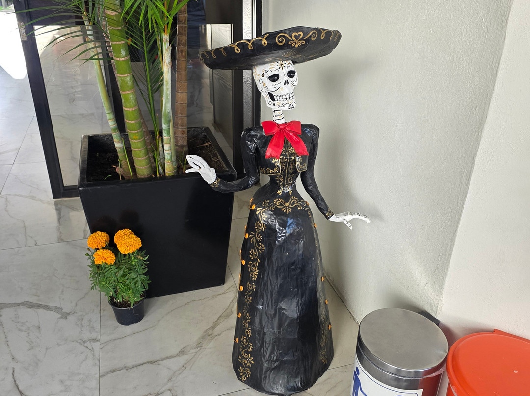 Casa Francisco Cuernavaca主图