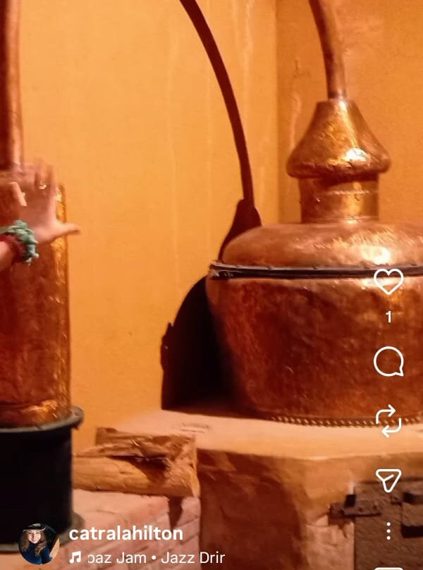 Centro Turistico Cooperativa Capel-Vicuna必去景点