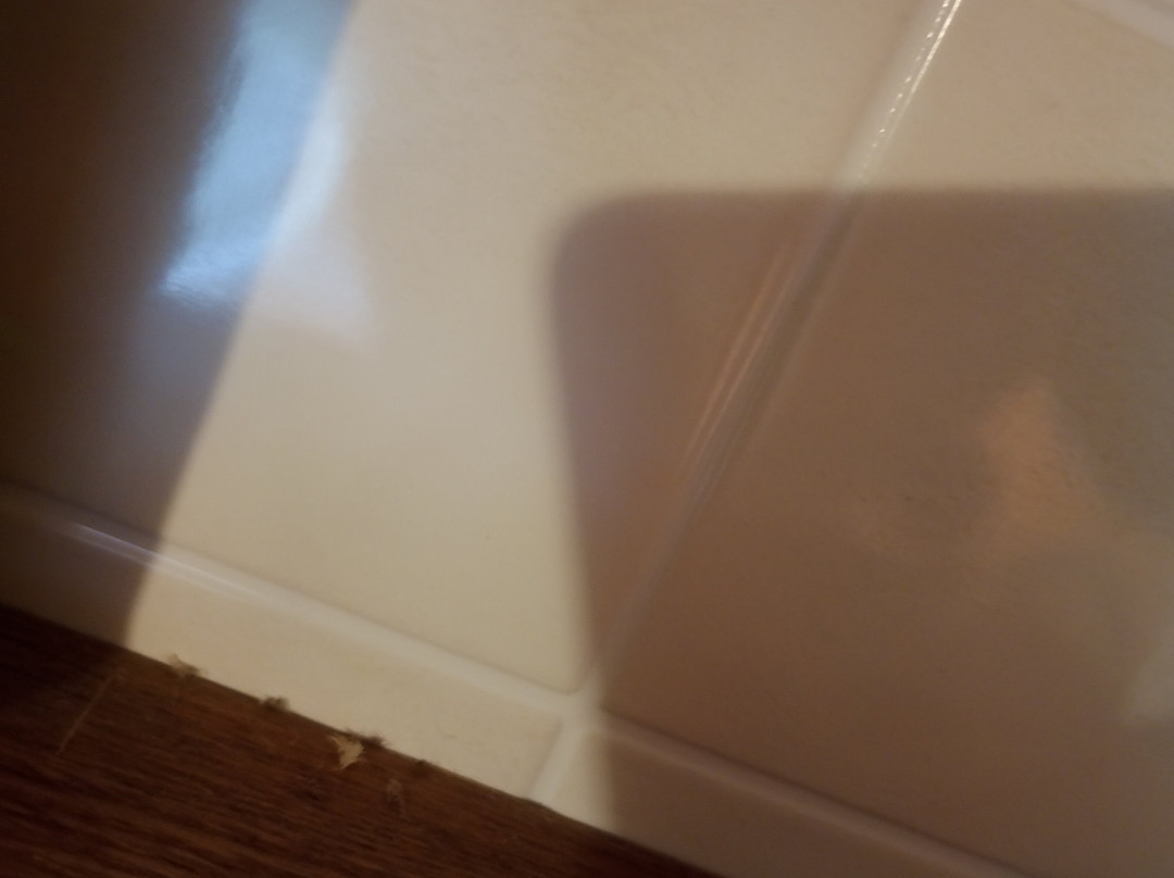 Percy Wood Country Park主图