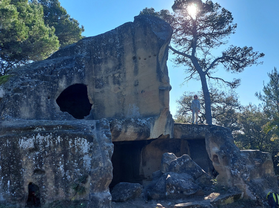 Les Grottes de Cales-Lamanon必去景点