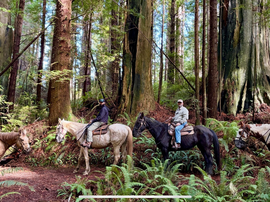 Crescent Trail Rides-克雷森特城必去景点