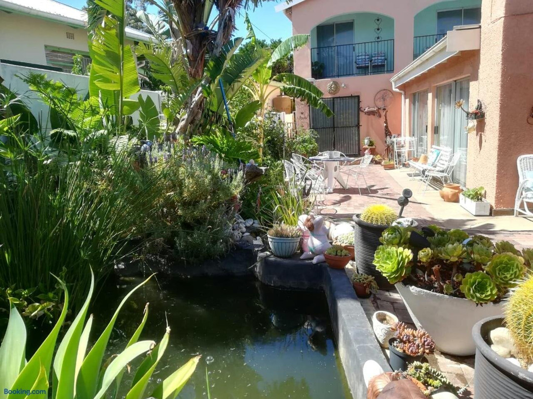 Mountaina Inn B & B主图