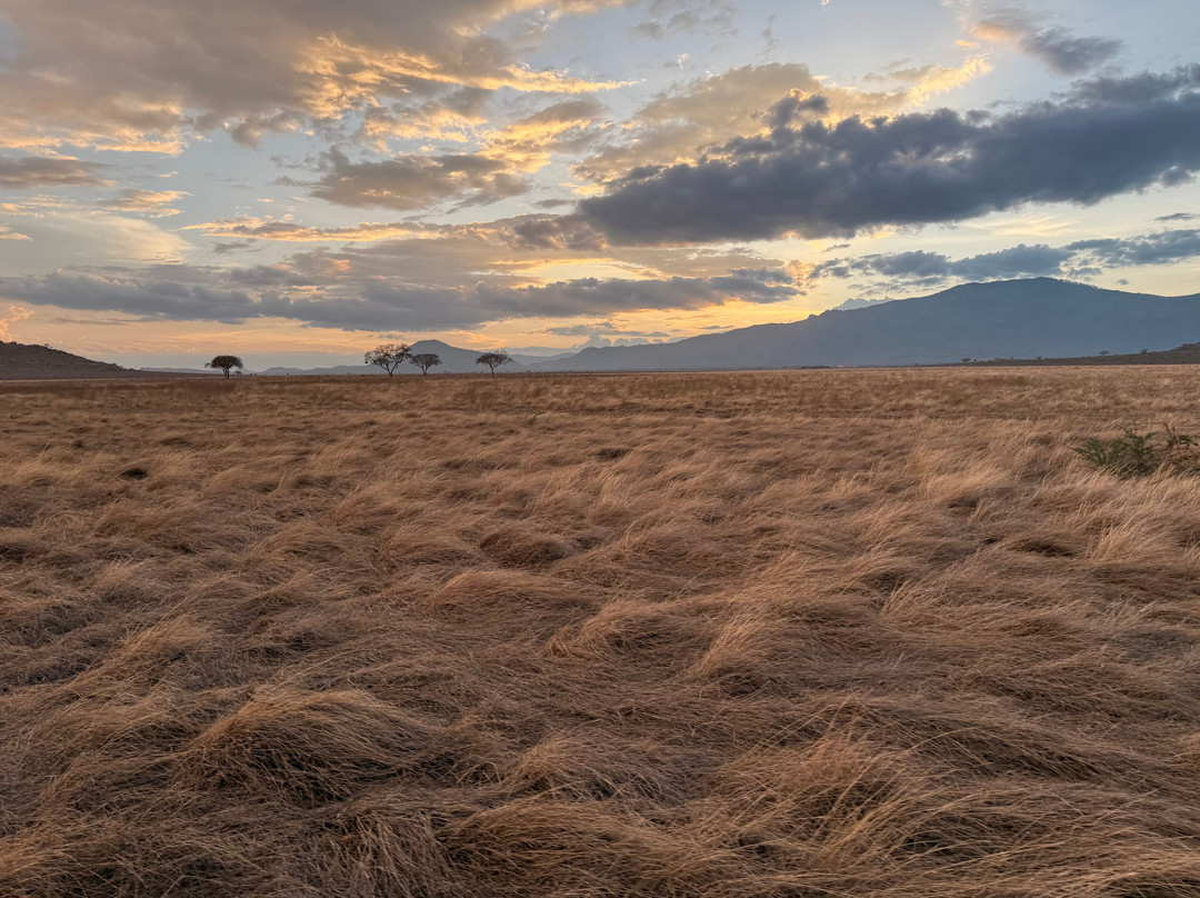 Dida Tours and Safaris-山祖必去景点