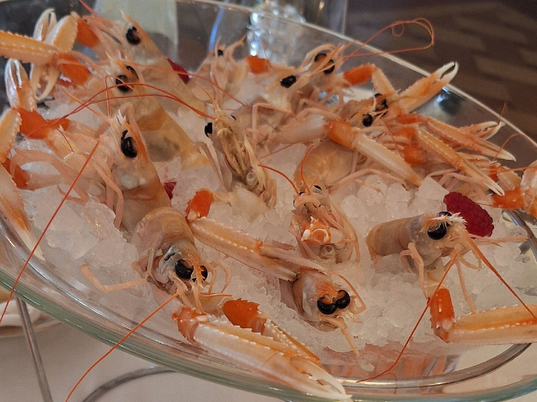 切斯基别墅主图