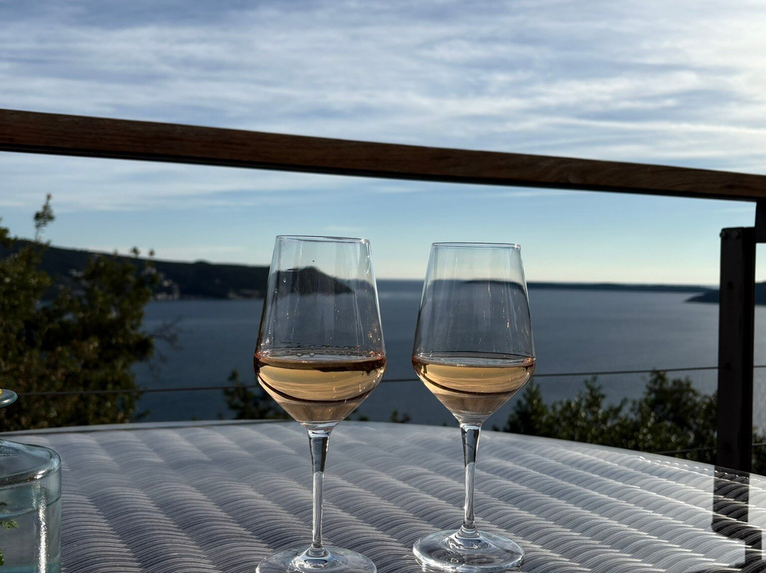 Savina Winery-赫尔采格诺维必去景点