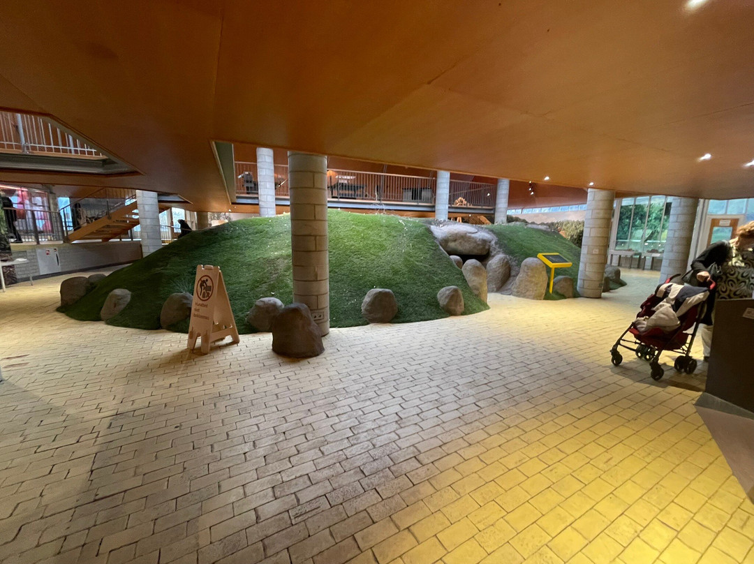 Hunebed Centre-Borger必去景点