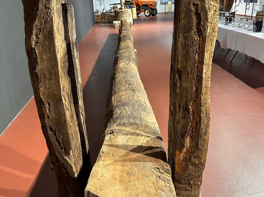 Bodegas Fariña-Toro必去景点