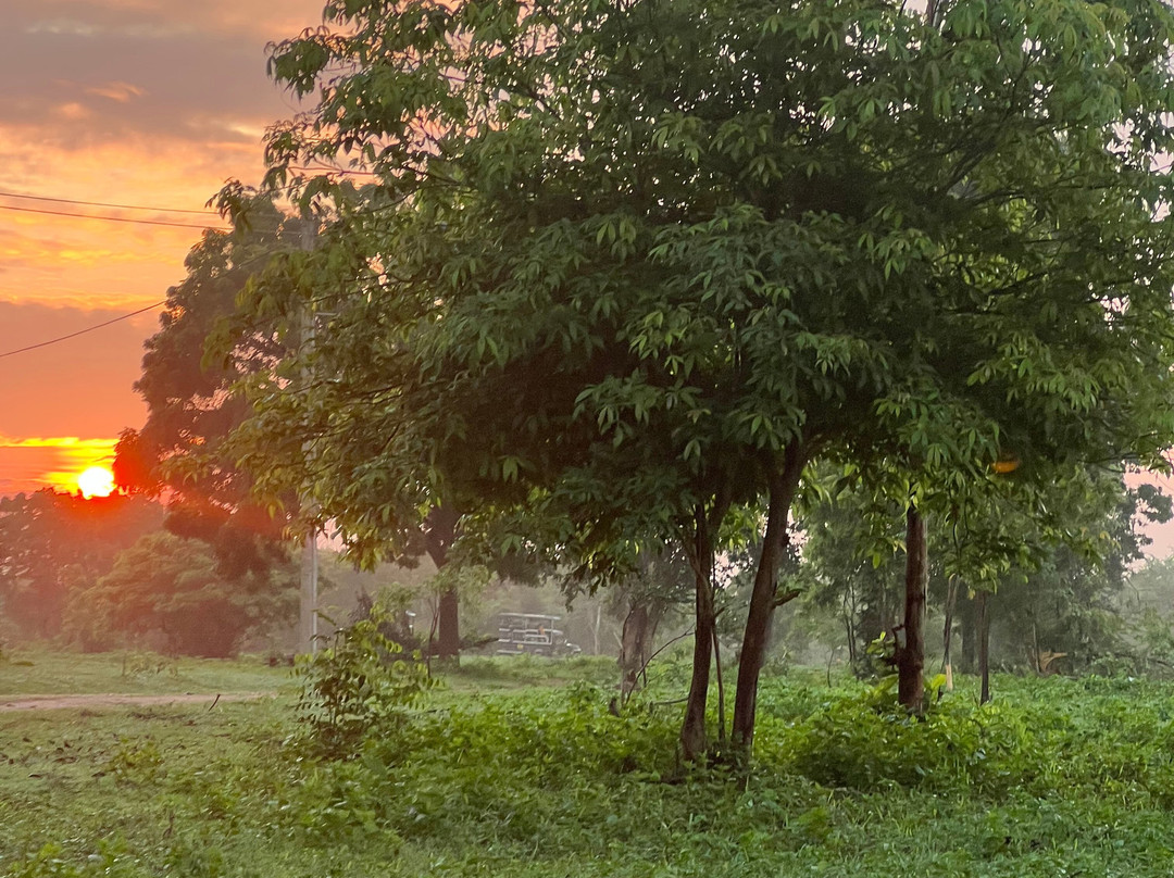 Udawalawe Lahiru Safari Guide Tours-乌达瓦拉维国家公园必去景点