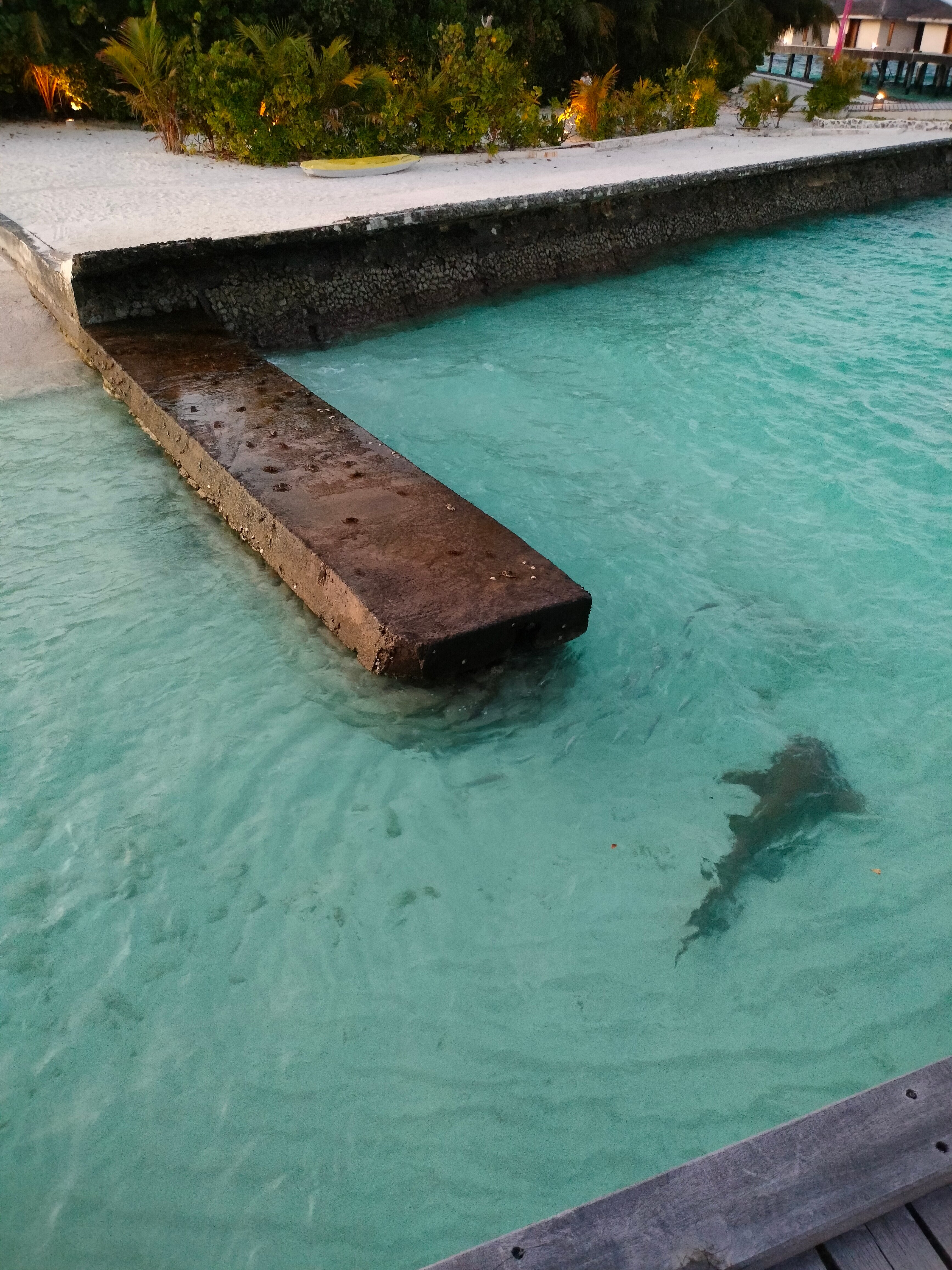 迪格瑞旅游度假村-泳池