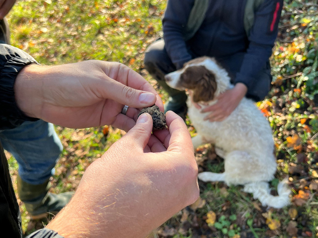 Truffle in Tuscany-圣米尼亚托必去景点
