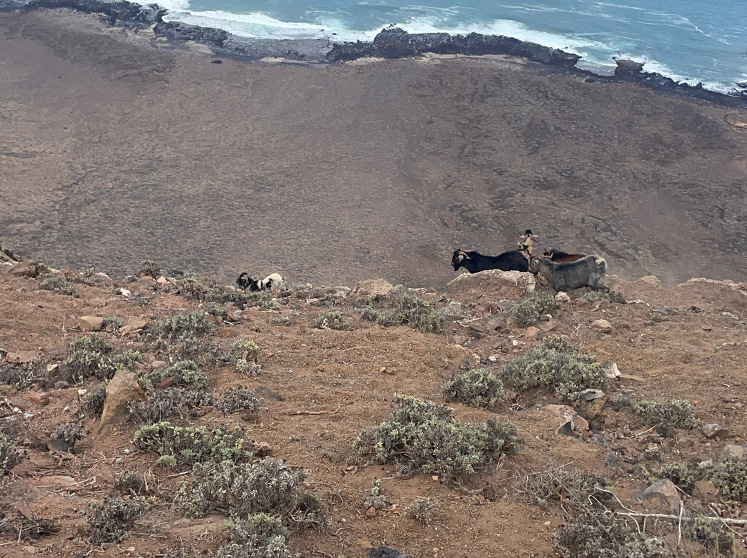 Mirador de Guinate-兰萨罗特必去景点