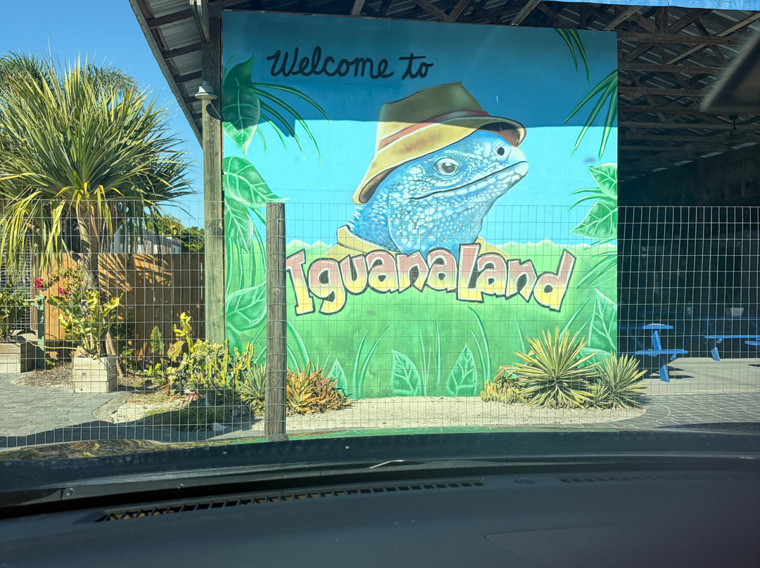 Iguanaland-蓬塔戈尔达必去景点