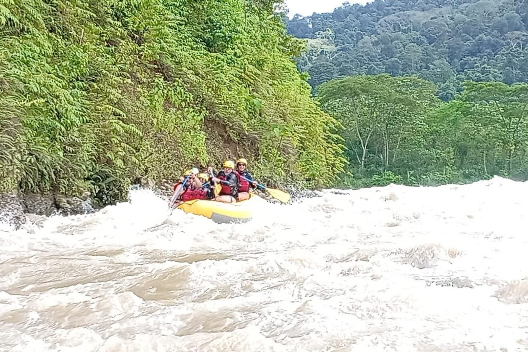 Canopy Safari-克波斯必去景点