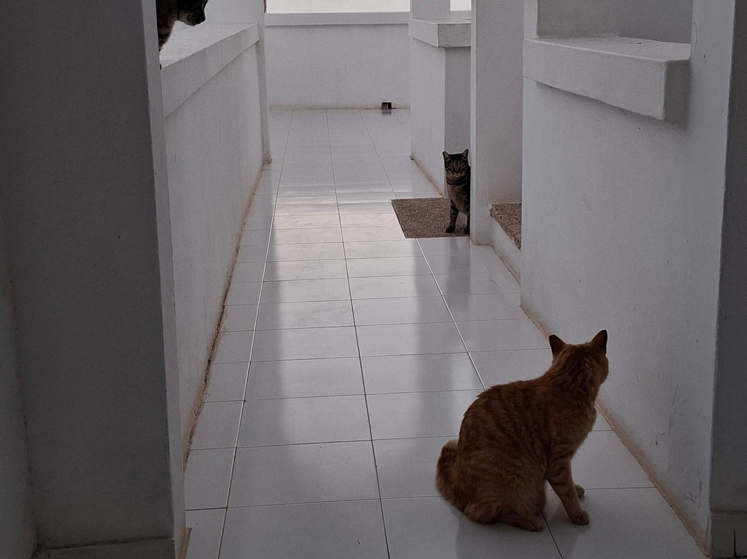 Nazaret  Sol Apartments主图