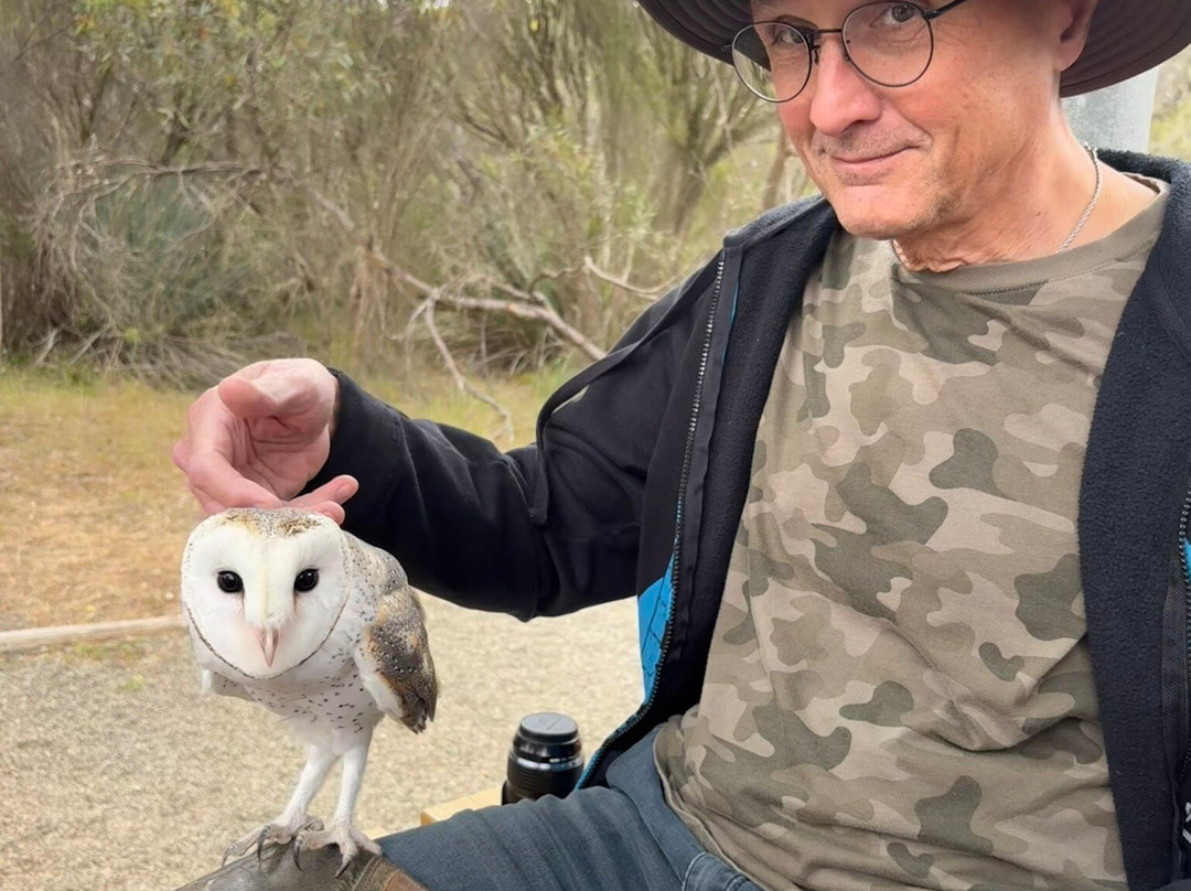 Raptor Domain-Seal Bay必去景点