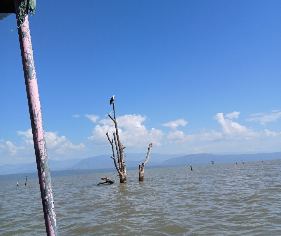 Chamo Lake-Arba Minch必去景点