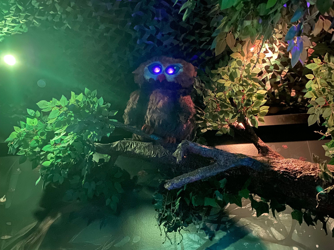 Boda Borg - Oxelösund-Oxelosund必去景点