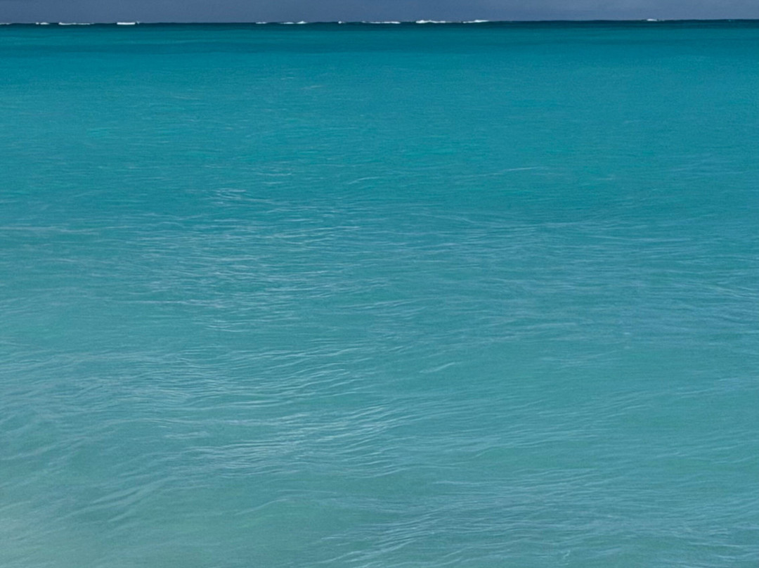 Paradise Excursions-普罗维登西亚莱斯必去景点