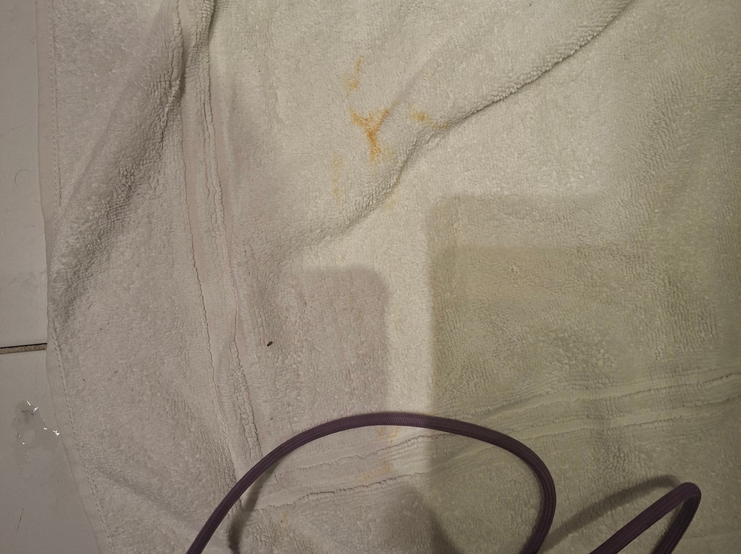 瓦勒欧洲公寓酒店主图