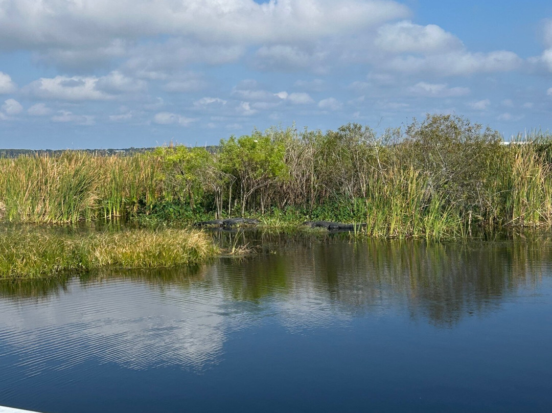 Lake Apopka Wildlife Drive-Apopka必去景点