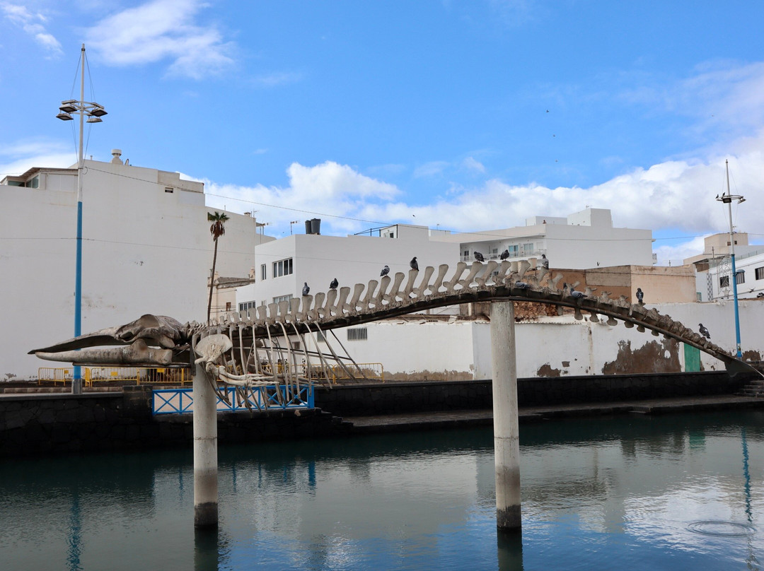 El Charco de San Ginés-阿雷西费必去景点