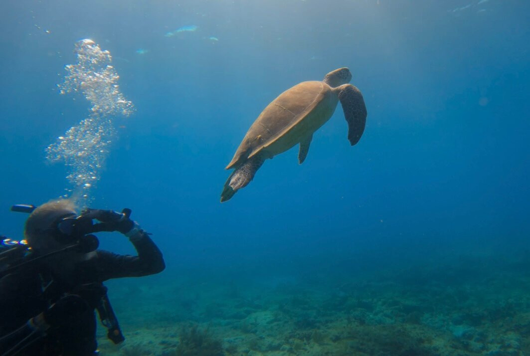 Better Than Most Scuba-马拉松必去景点