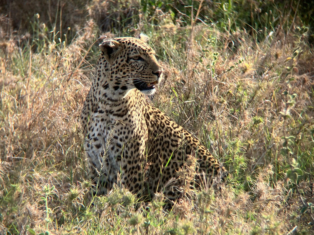 Access2Tanzania-阿鲁沙必去景点