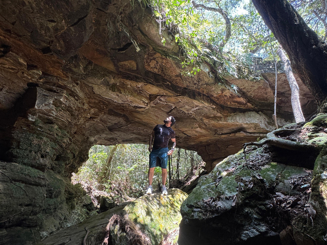 Del Rey Climb-德尔雷伊必去景点