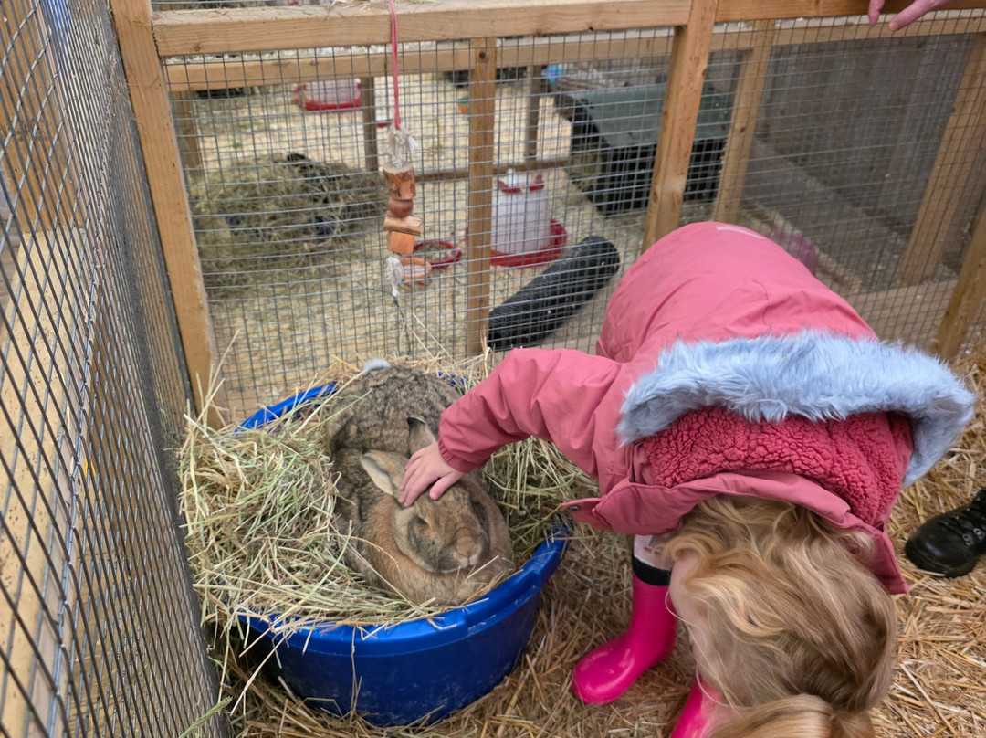 Mini Meadows Farm-Welford必去景点