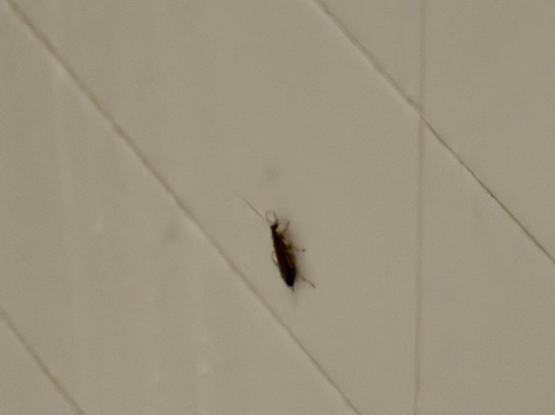 哈里森源宿酒店-纽瓦克主图