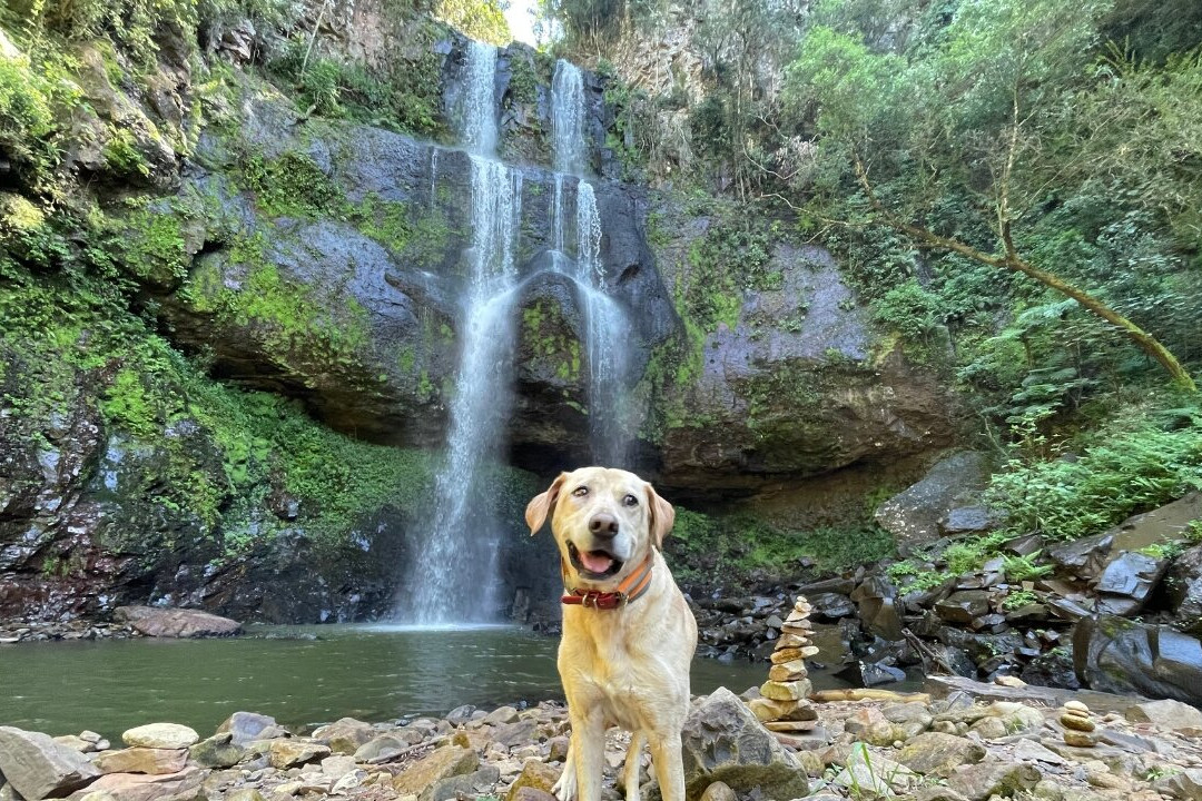 Cascata da Baleia-Ilopolis必去景点