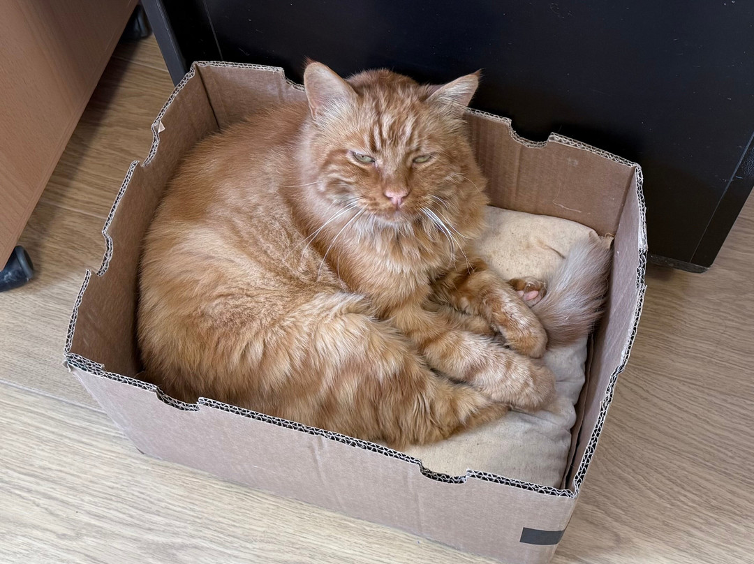 Meridiana Wine Estate-Ta' Qali必去景点