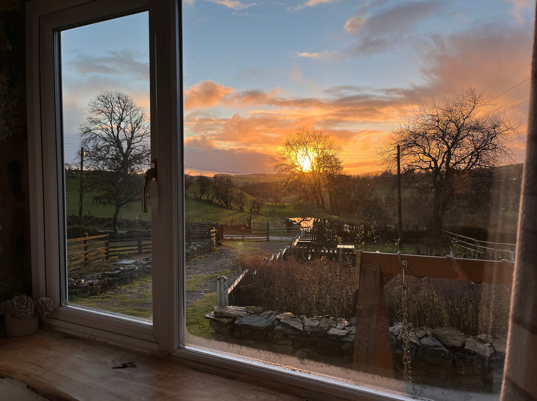 Woolly Experiences, Nercwys, Mold