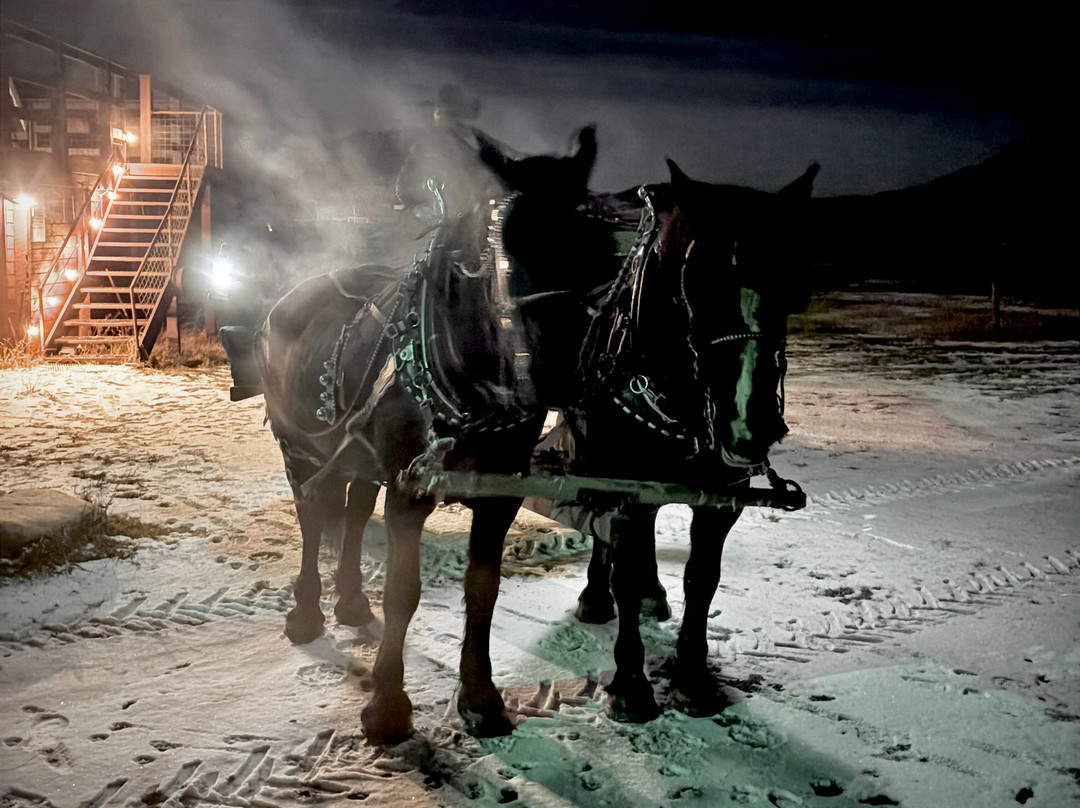 Bar Lazy L Ranch Sleigh Ride-斯廷博特斯普林斯必去景点