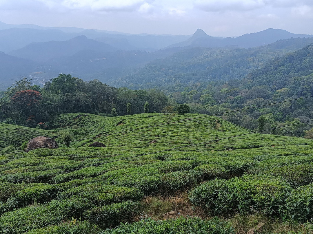 Kochi Taxi 24X7-柯钦必去景点