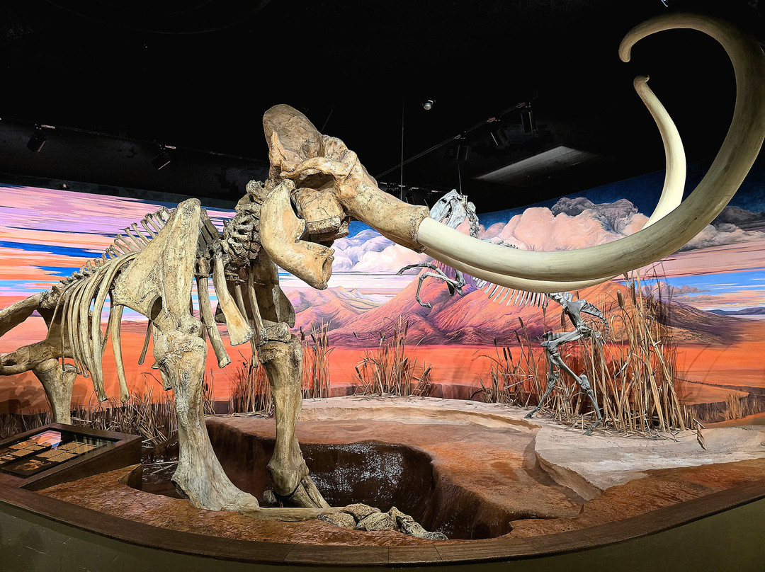 Nevada State Museum-卡森城必去景点