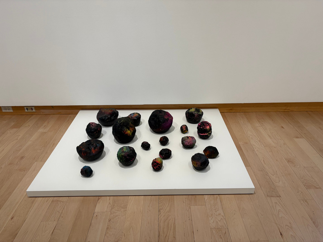 Madison Museum of Contemporary Art-麦迪逊必去景点