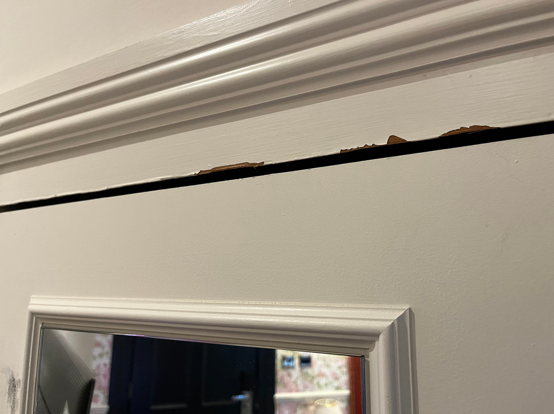 贝德福德天鹅宾馆酒店主图