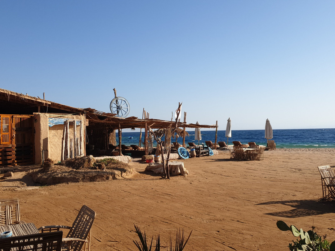 La Toupie Voyageuse-里昂必去景点