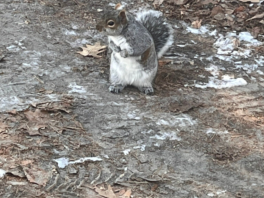 Mackworth Island-Falmouth必去景点