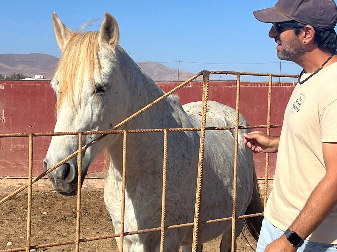 The Animal Academy-Antigua必去景点