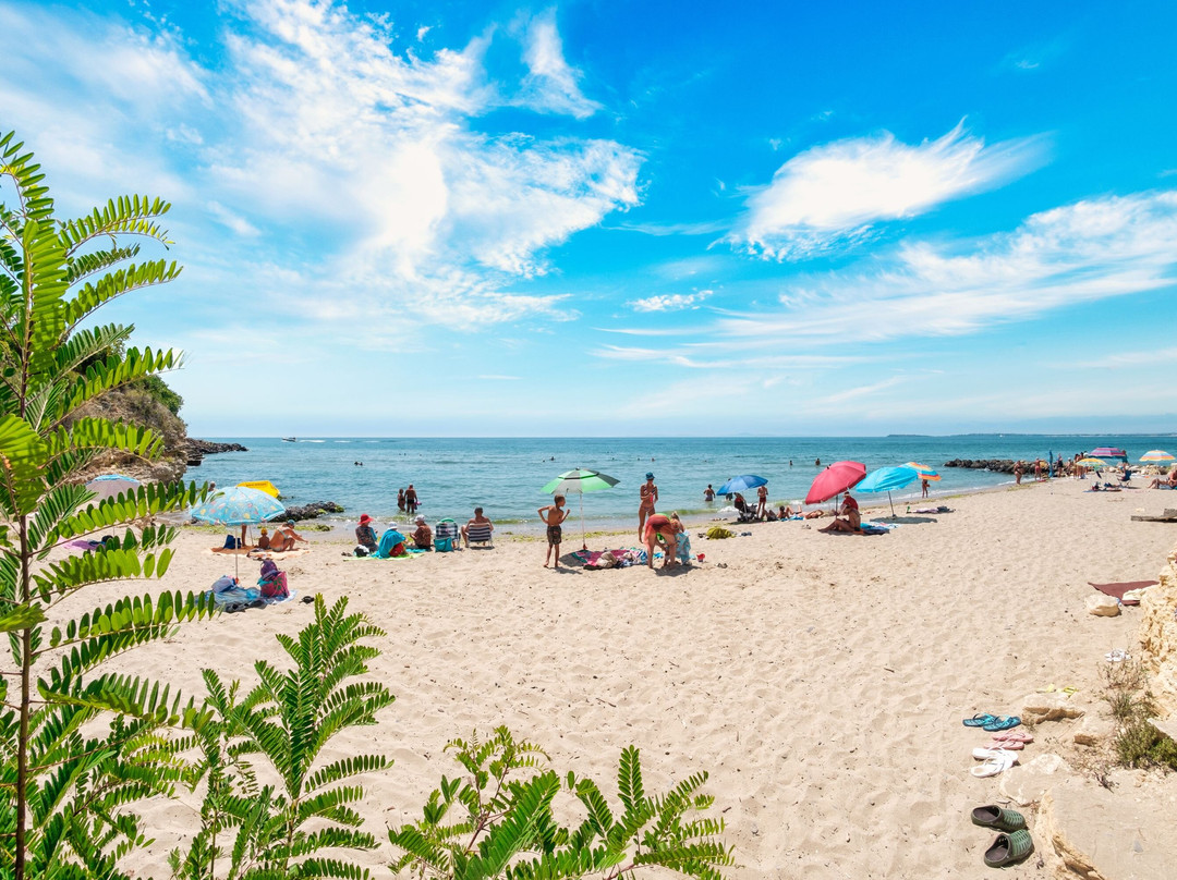 Panorama Fort Beach Complex主图