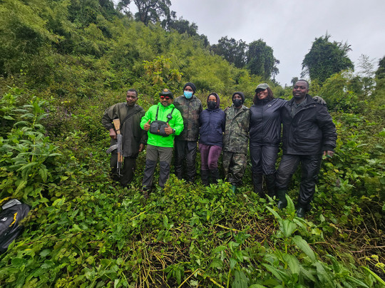 Mist Rwanda Safaris-Ruhengeri必去景点