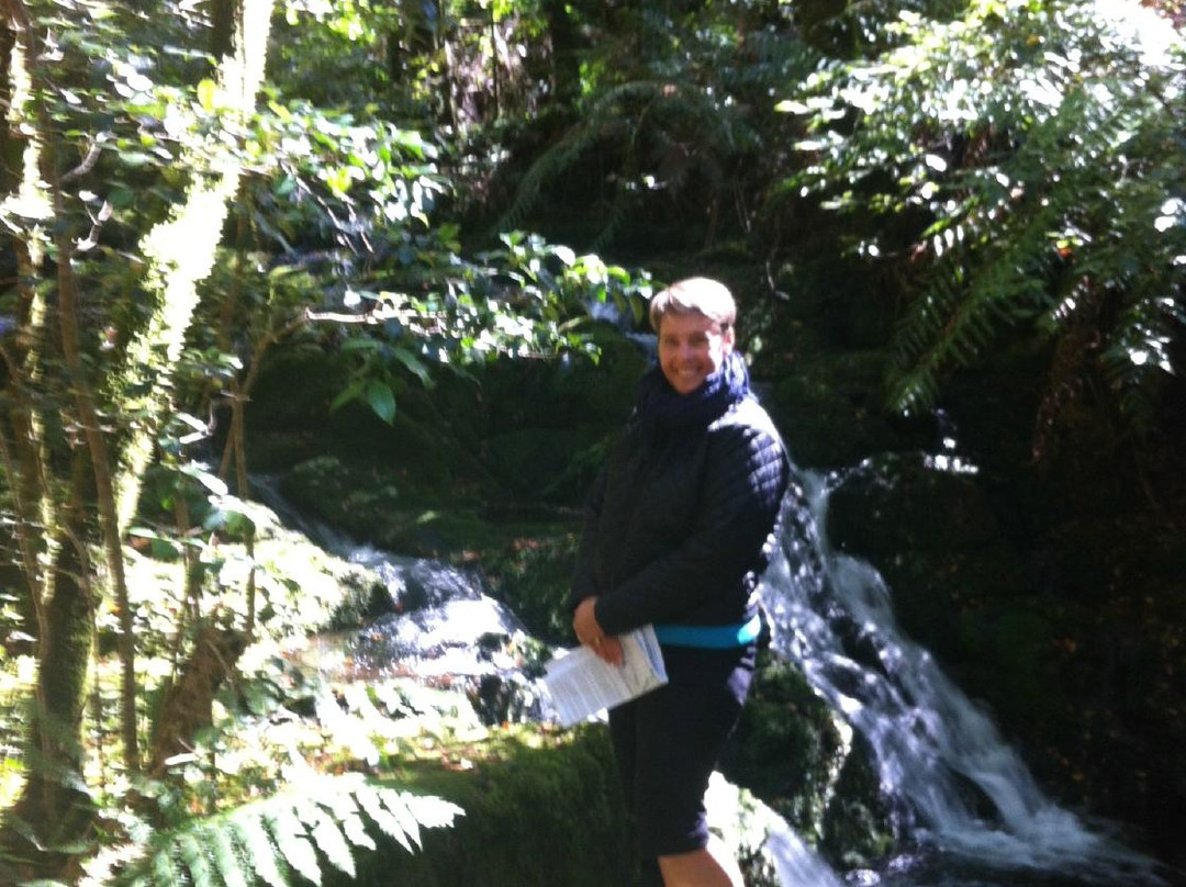 Goldies Place Rainforest Bed and Breakfast主图