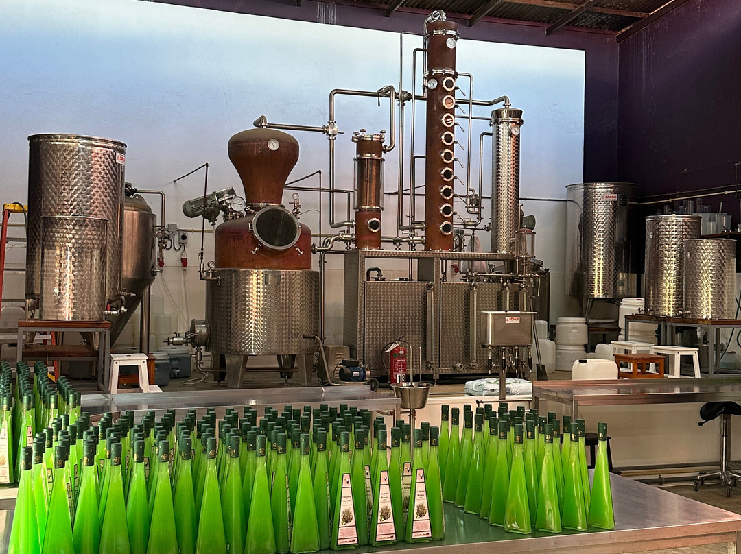 The Cadushy Distillery-Rincon必去景点