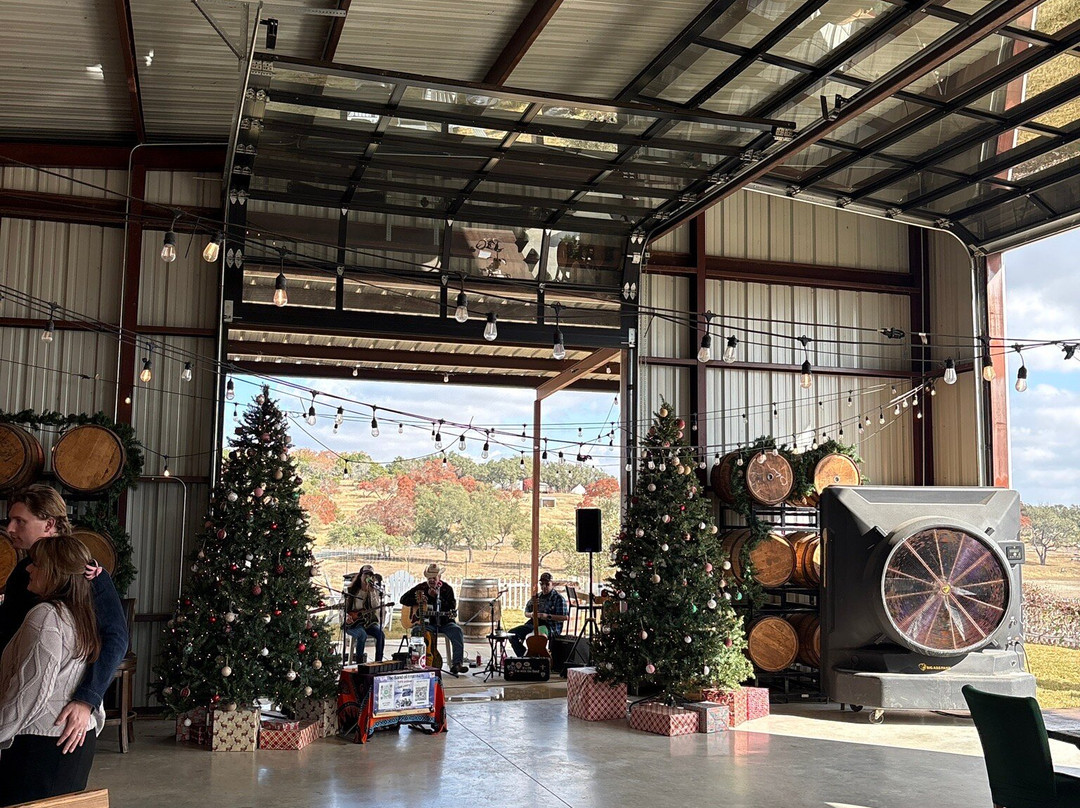 Grapetown Vineyard-弗雷德里克斯堡必去景点